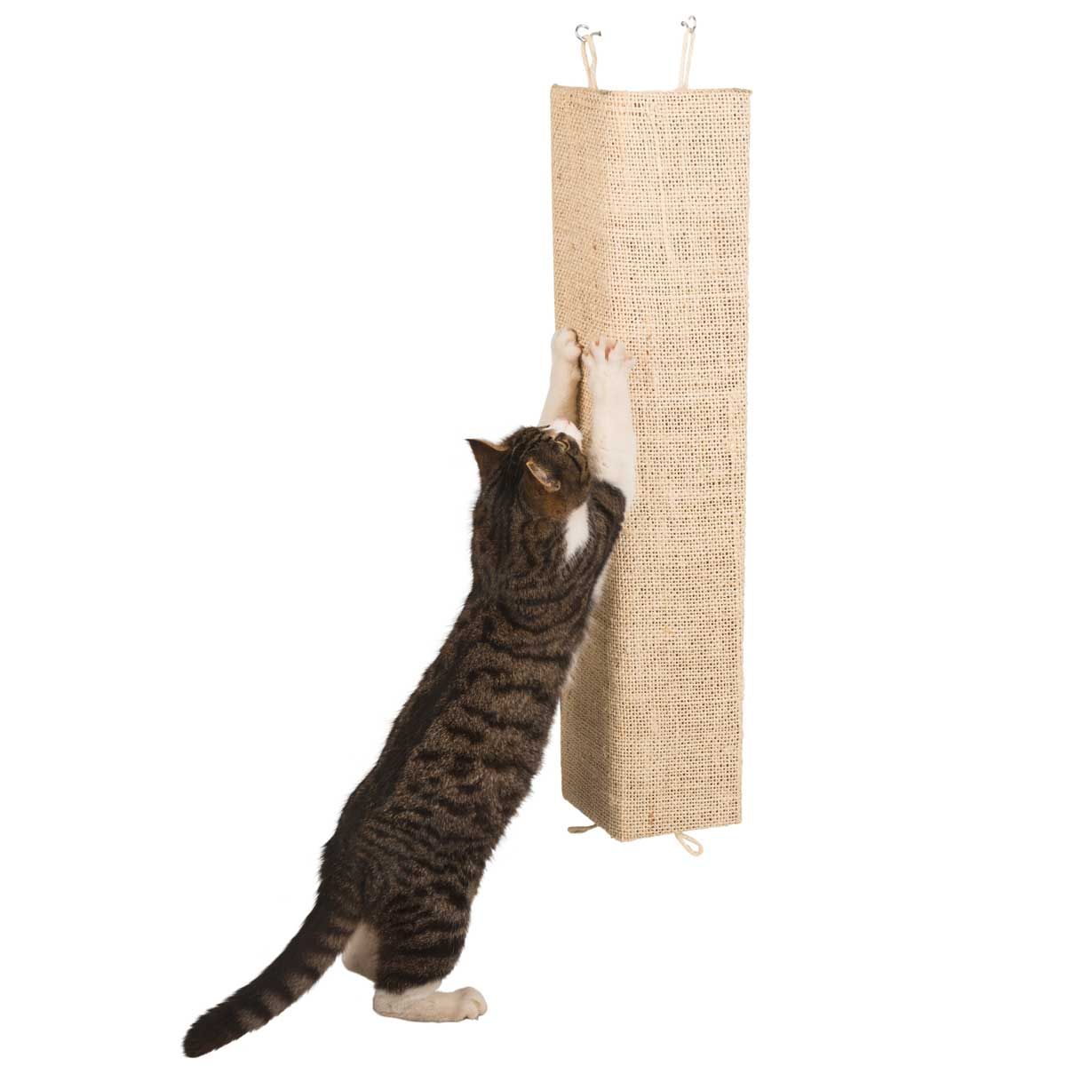 Kerbl Sisal Scratching Board Kevin for Cats, Corner Mount, in use