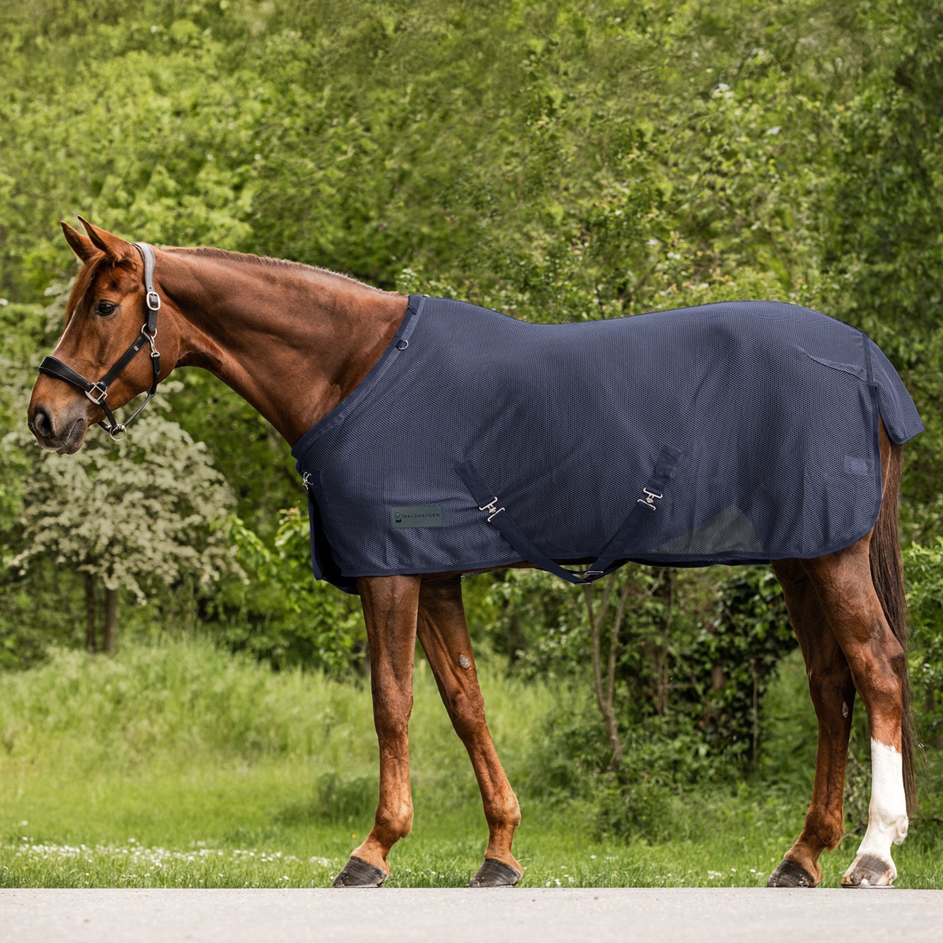 horse blanket, horse rug, stable gear, navy blanket, weatherproof rug