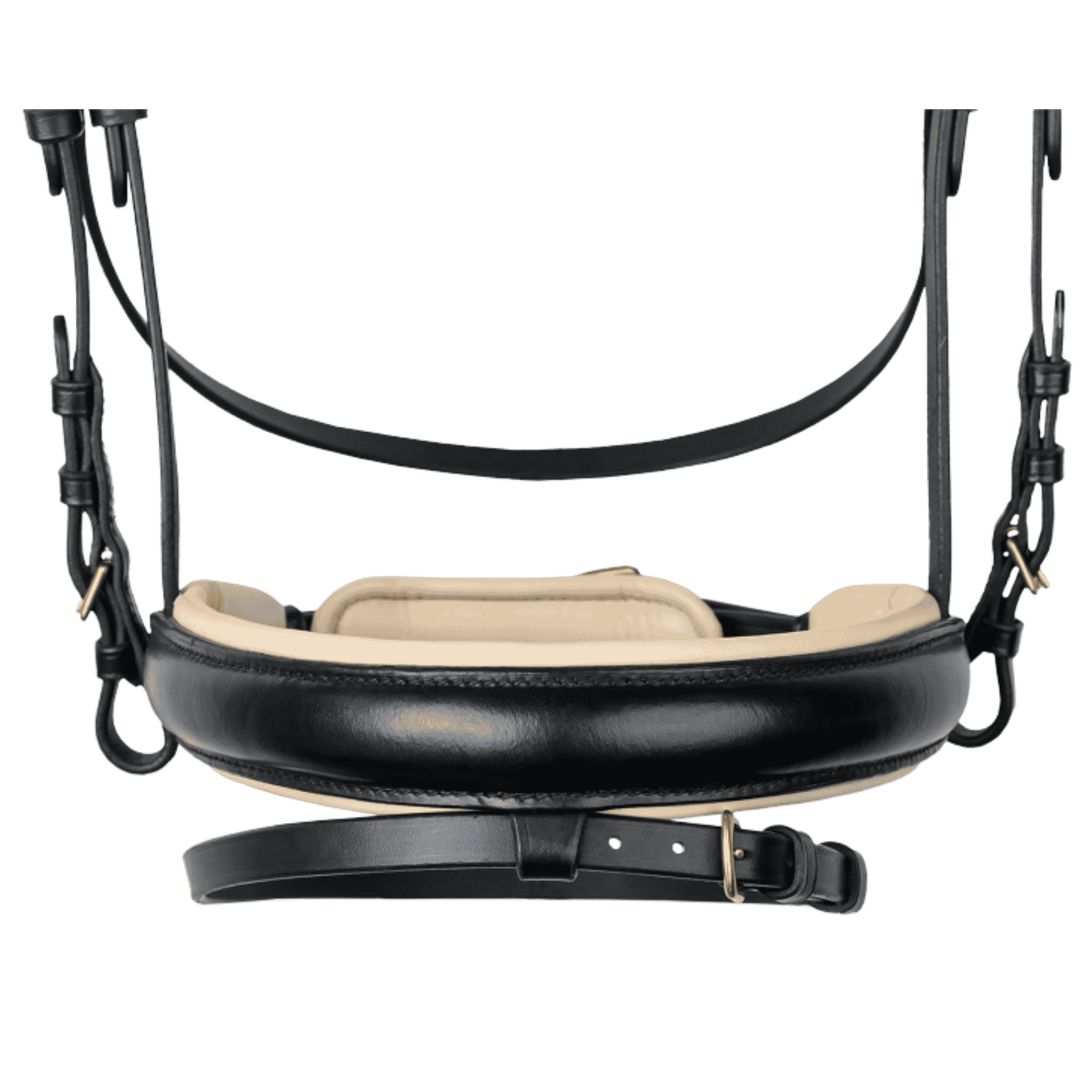 halter, horse, bridle, leather, saddle