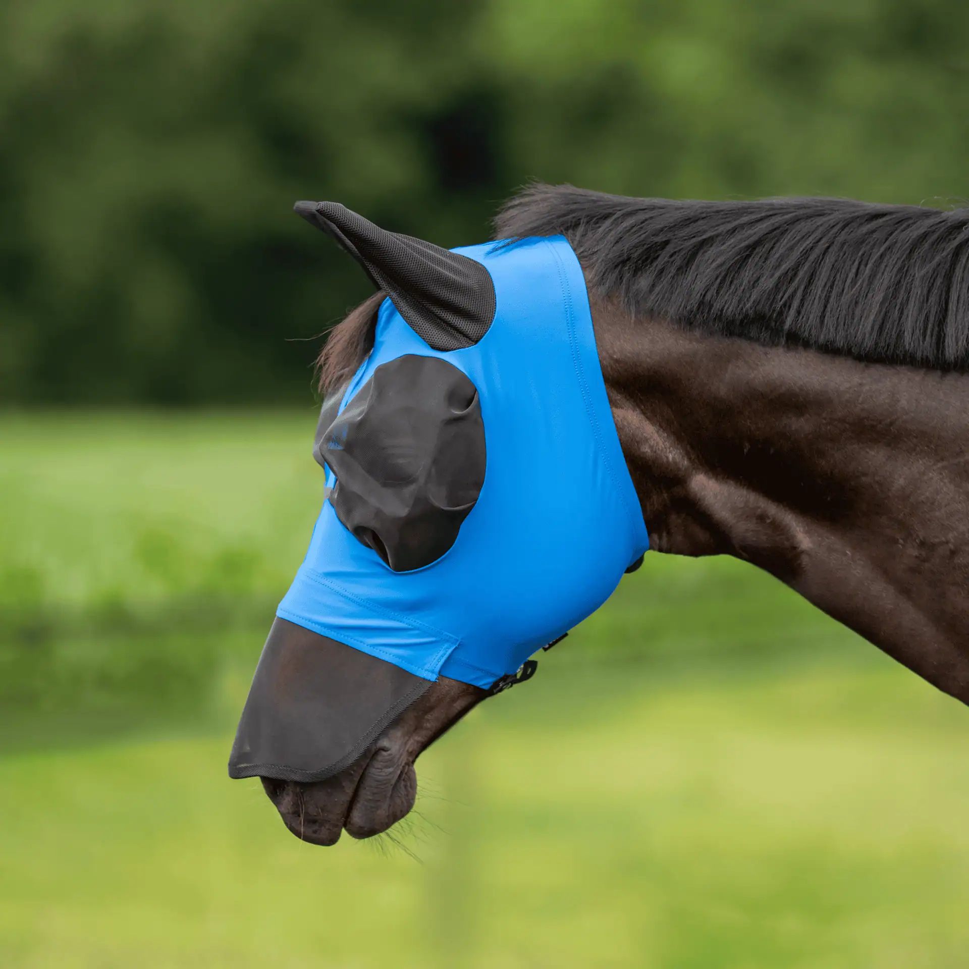 Masque anti-mouches BUSSE TWIN FIT FLEXI PLUS, protection naseaux, FULL royal summer