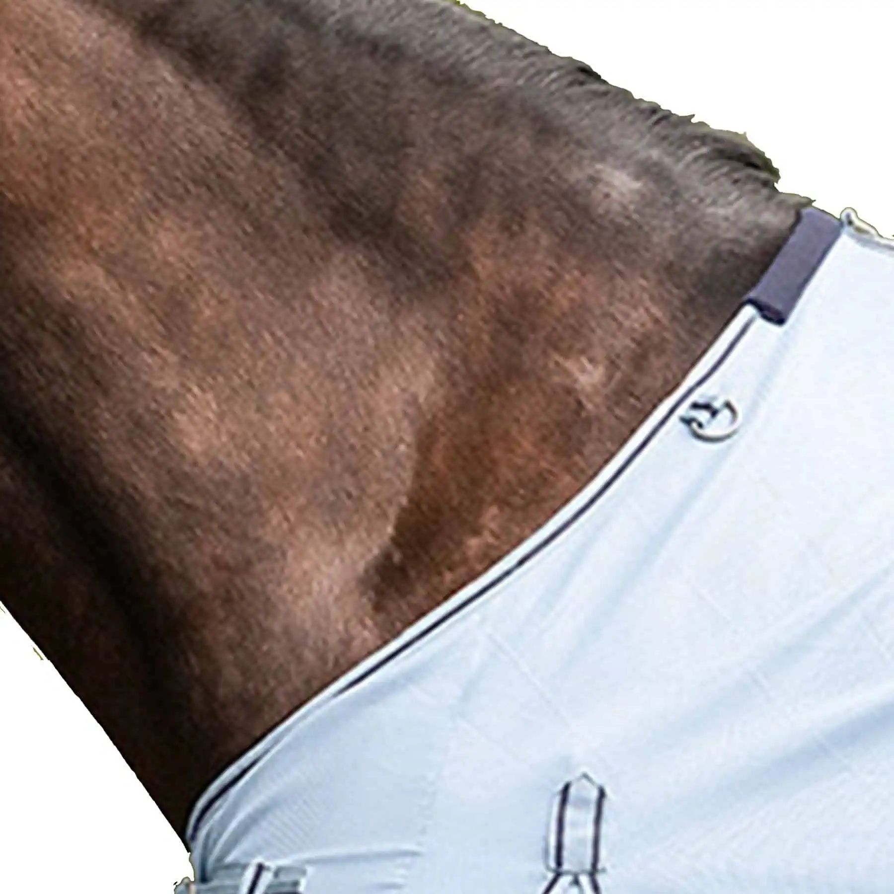 Couverture anti-mouches Waldhausen PROTECT avec sangle ventrale, bleu clair/bleu nuit, 115 cm