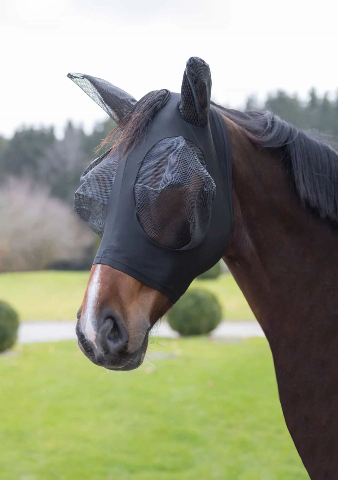 Covalliero Fliegenmaske FinoStretch mit UV-Schutz, schwarz/blau, im Einsatz
