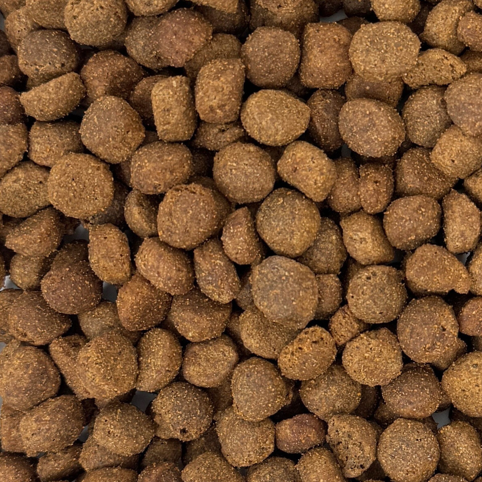 Leimüller Premium Hedgehog Feed grain-free, protein-rich, loose product