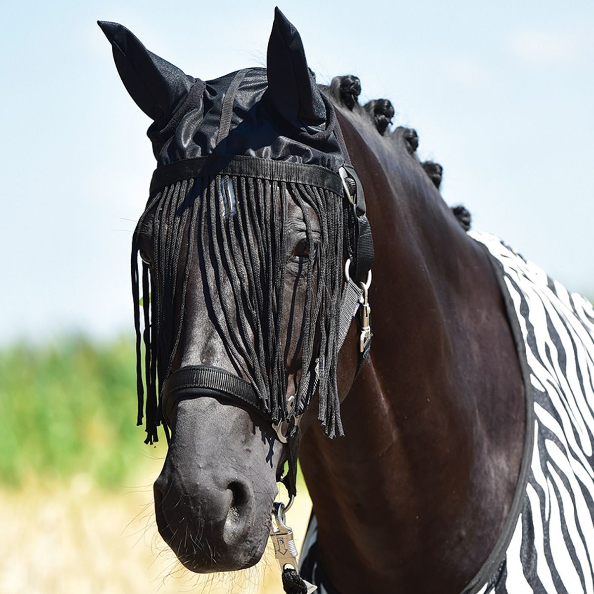 BUSSE Ohrenschutz Fly Protector, Fliegenschutz für Pferdeohren & Augen, Vollblut/Cob