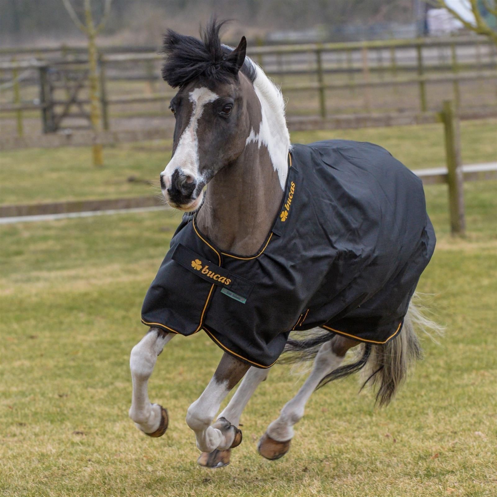 Couverture de cheval Bucas Irish Turnout 150g 115