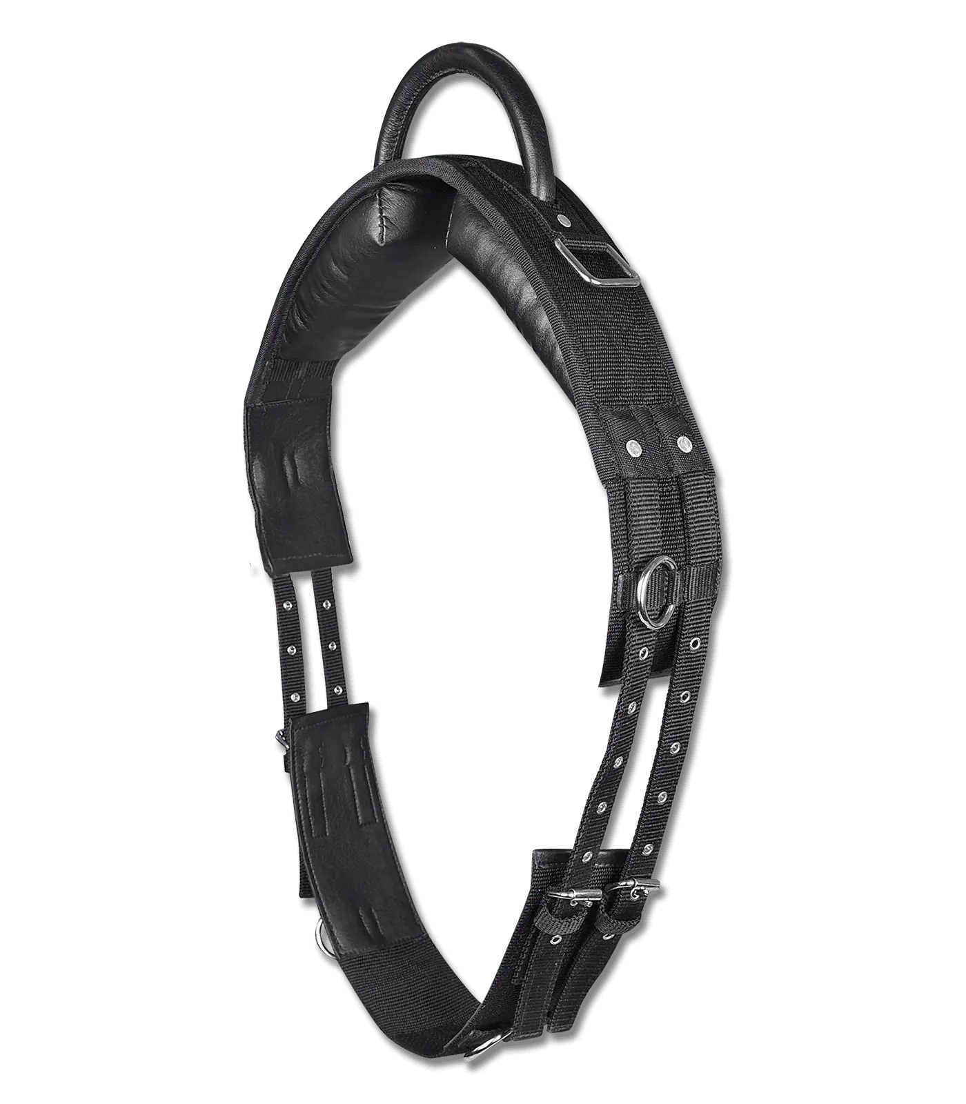 Surfaix STAR à poignée en cuir, synthétique, noir, pour longer sans selle, Cheval de selle