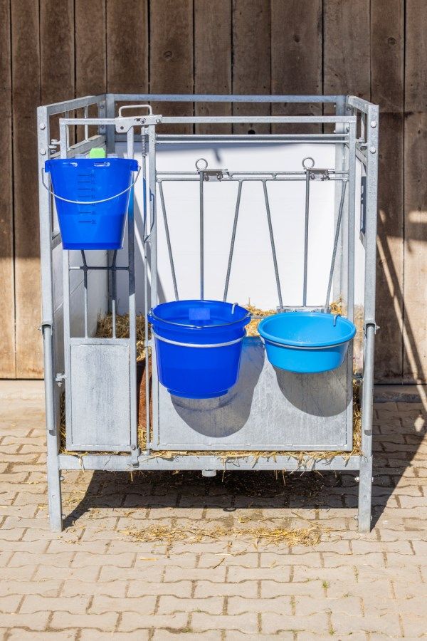 horse-stable, feed-tarm, mini-stable, metal-frame, buckets-blue
