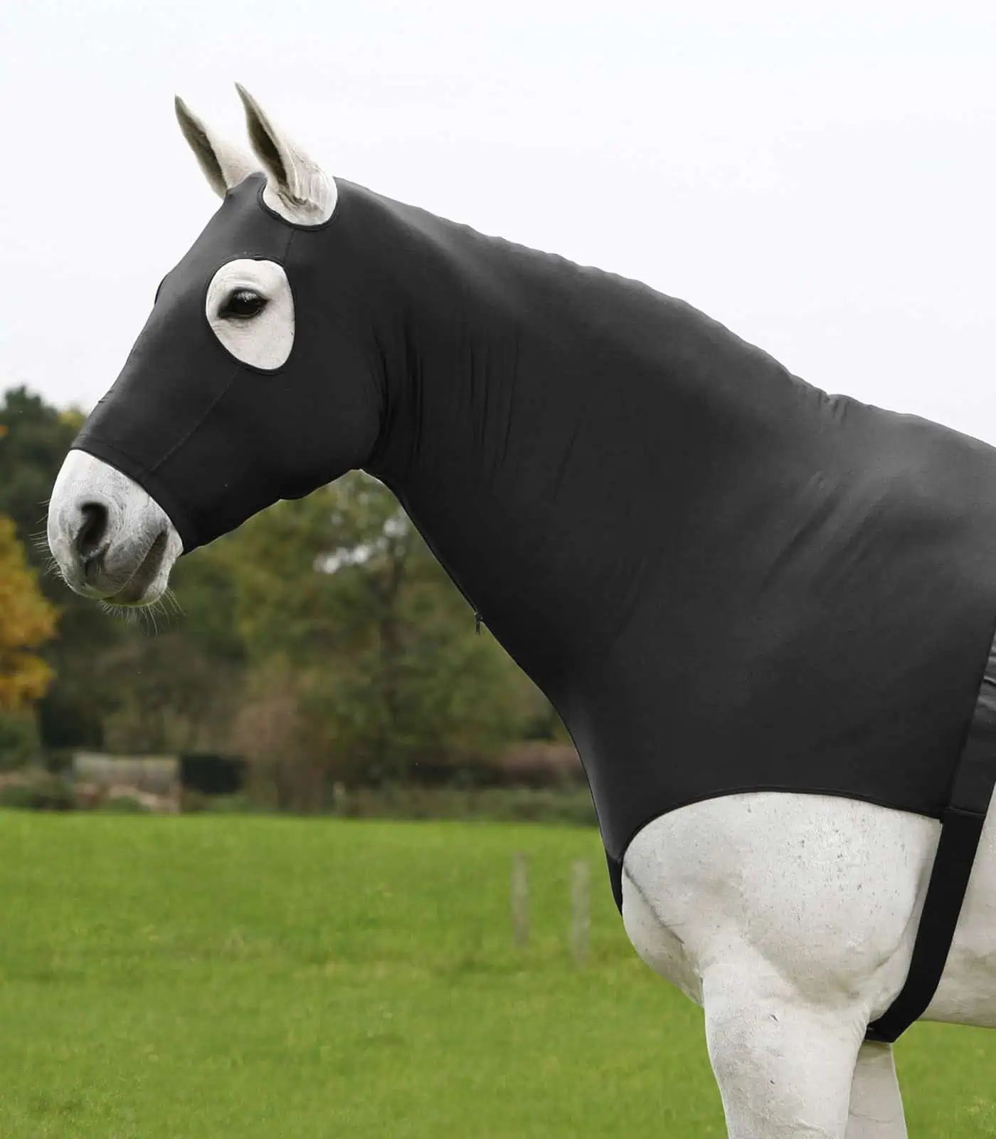 Waldhausen Capuză combinată L negru