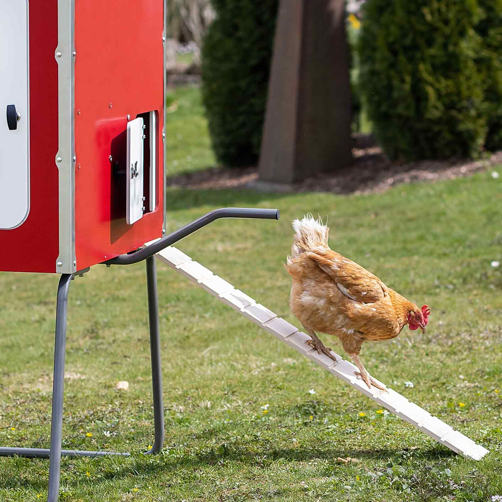 Kerbl mobiler Hühnerstall MOBILE COOP Holz, 92x113x138 cm, im Einsatz