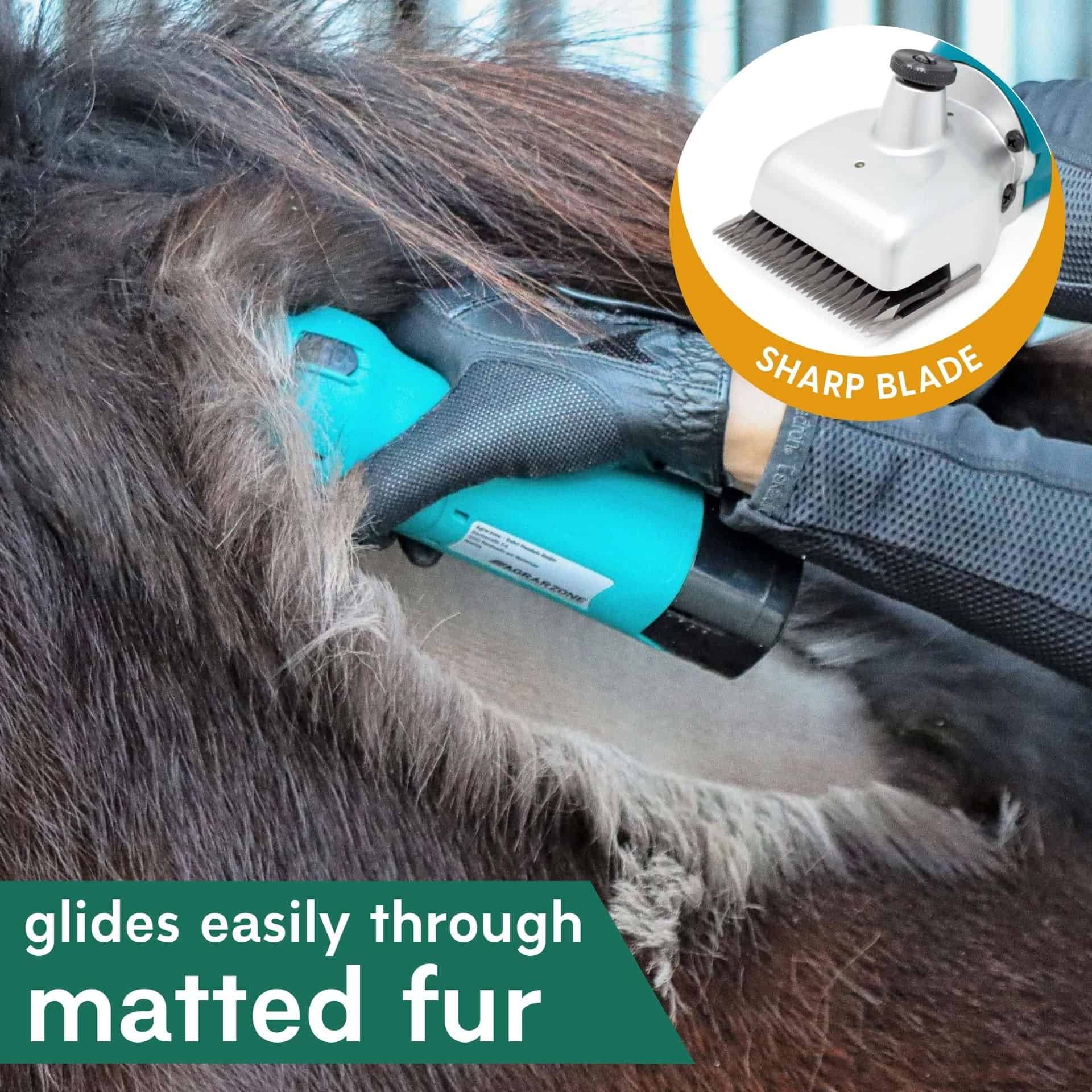 Tondeuse pour chevaux Agrarzone PowerCut, sans fil à 2 batteries, en utilisation